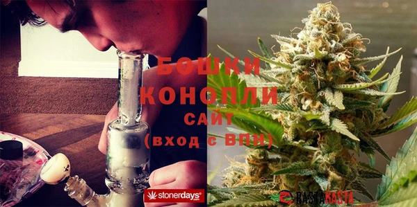 скорость Вяземский
