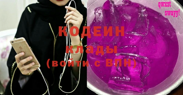 скорость Вяземский