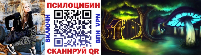 Купить закладки  Кириши  Псилоцибиновые грибы Magic Shrooms 